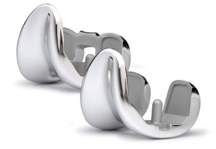 NexGen ® CR / LPS-Flex Gender